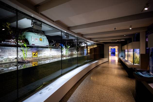 AMSTERDAM - Preview of the monumental aquarium at Artis Zoo. After a refurbishment that lasted more than five years, the oldest still-functioning aquarium in the world can reopen its doors to the public. RAMON VAN FLYMEN ANP netherlands out - belgium out  Copyright: xx x560484180x originalFilename: 560484180.jpg