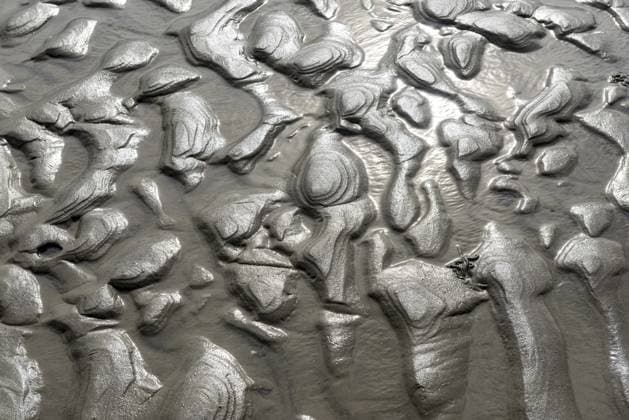 Detailansicht des grauen, wellenförmigen Wattbodens in der Nordsee bei Ebbe bzw. Low water and flow water with glitzerndem Sonnenlicht Detailed view of the grey, wavy mudflats in the North Sea at low tide or low water and flow water with sparkling sunlight Copyright: imageBROKER FrankxWagner ibxiqx17846883.jpg