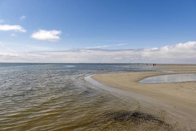 Eine Gruppe Wattwanderer läuft entlang der Wasserkante im Watt auf der Nordseeinsel Föhr bei Ebbe bzw. Niedriges Wasser A group of mudflat hikers runs along the water s edge in the mudflats on the North Sea island of Föhr at low tide or low water Copyright: imageBROKER FrankxWagner ibxiqx17846911.jpg