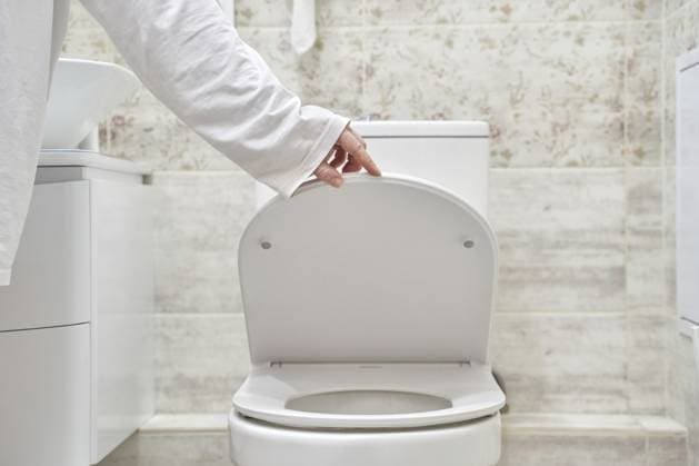 Junge kaukasische Frau, die den Toilettendeckel im modernen Badezimmer mit Blumentapete und weißen Armaturen schließt Young caucasian female closing toilet lid in modern bathroom with floral wallpaper and white fixtures Copyright: imageBROKER ElenaxSafonova ibxiqx17850848.jpg ,model released, Symbolfoto ,property released