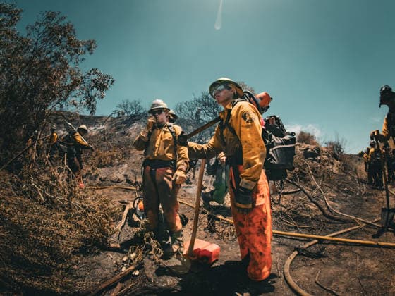 June 8, 2026, Oceanside, California, USA: Fire crews battle a brushfire off Benet Rd. in Oceanside, California, on June 08, 2026. The Airport Fire temporarily placed evacuations order for nearby residents and businesses. Oceanside USA - ZUMAg219 20260608_znp_g219_009 Copyright: xJakexLeexGreenx