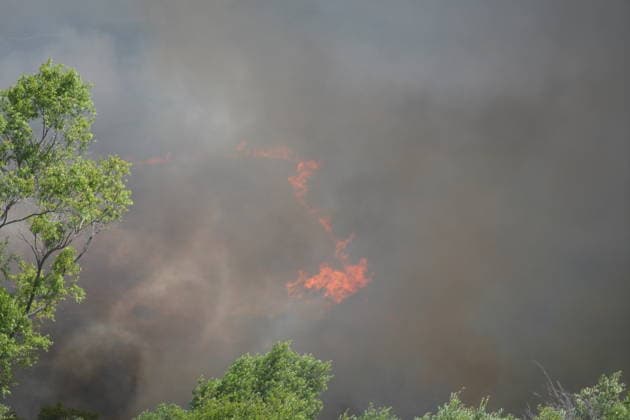 Firefighters battle fast-moving Sorrento Valley brush fire in San Diego SAN DIEGO, UNITED STATES - JUNE 08: Smoke billows over Sorrento Valley as firefighters battle the fast-moving Sorrento Fire near the Interstate 5 and Interstate 805 interchange in San Diego, California, on June 08, 2026. The brush fire ignited near the Interstate 5 and Interstate 805 interchange and rapidly expanded to more than 80 acres, prompting mandatory evacuation orders and warnings for nearby neighborhoods as crews worked to protect homes, businesses, and the Los Penasquitos Canyon Preserve. More than 140 firefighters, supported by helicopters and air resources, responded to the blaze while authorities closed portions of Sorrento Valley Boulevard and established  Copyright: x2026xAnadoluxWaixLeexMichaelxHox
