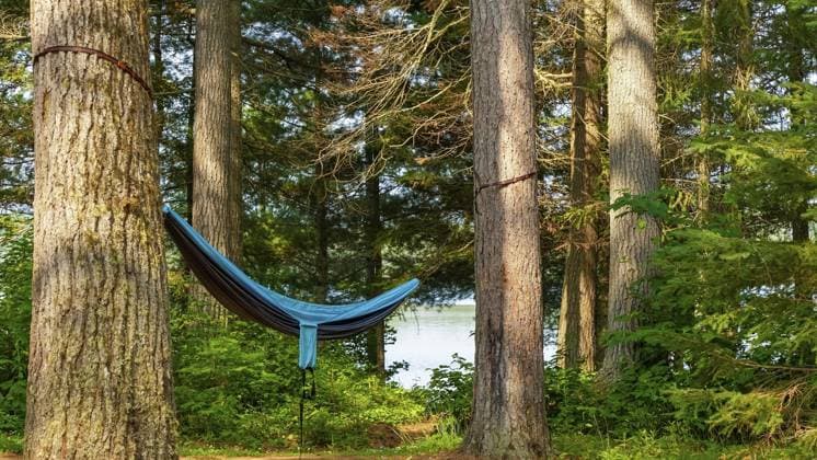 Die Hängematte hängt zwischen zwei hohen Bäumen in einem ruhigen Wald, im Hintergrund ist ein friedlicher See zu sehen und Sonnenlicht, das durch das Laub strömt Hammock hangs between two tall trees in a tranquil forest, with a peaceful lake visible in the background and sunlight streaming through foliage Copyright: imageBROKER IuliiaxDombrovskaia ibxiqx17872229.jpg