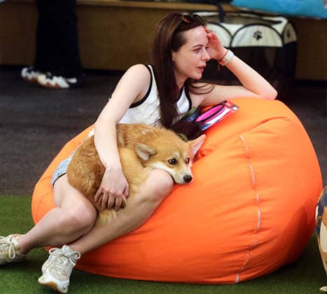 RECORD DATE NOT STATED A woman sits in a beanbag chair with a Welsh Corgi dog during the Corgiia: Corgi Race festival, organized to mark the fourth celebration of International Corgi Day, at the Pawwer dog sports arena in Kyiv, Ukraine, on June 6, 2026 (Photo by Volodymyr Tarasov Ukrinform) Corgi Race festival held in Kyiv  Copyright: xVolodymyrxTarasovx