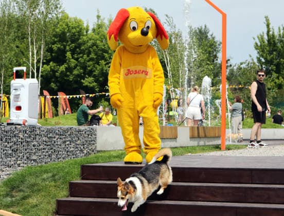 RECORD DATE NOT STATED A Welsh Corgi dog runs past the mascot of a German pet food brand during the Corgiia: Corgi Race festival, organized to mark the fourth celebration of International Corgi Day, at the Pawwer dog sports arena in Kyiv, Ukraine, on June 6, 2026 (Photo by Volodymyr Tarasov Ukrinform) Corgi Race festival held in Kyiv  Copyright: xVolodymyrxTarasovx