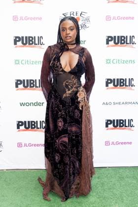 Celia Rose Gooding at arrivals for Opening Night of Free Shakespeare in the Park s ROMEO & JULIET, The Delacorte Theater in Central Park, New York, NY, June 11, 2026. Photo By: Ryan Billings Everett Collection Opening Night of Free Shakespeare in the Park s ROMEO & JULIET PUBLICATIONXNOTxINxCANxCHNxFRAxITAxJPNxNORxPOLxRUSxESPxUKxUSA