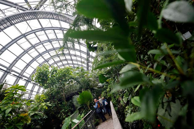Impression von der Eröffnung der neuen Schaugewächshäuser in der Kölner Flora. Das Stahl-Glasgebäude zeigt eine große Auswahl exotischer Pflanzen und ist fortan wieder der Öffentlichkeit zugänglich. Köln, 12.06.2026 NRW Deutschland *** Impression of the opening of the new show greenhouses at Cologne Flora The steel and glass building displays a large selection of exotic plants and is now open to the public again Cologne, 12 06 2026 NRW Germany Copyright: xChristophxHardtx