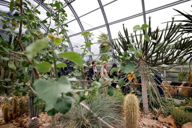 Impression von der Eröffnung der neuen Schaugewächshäuser in der Kölner Flora. Das Stahl-Glasgebäude zeigt eine große Auswahl exotischer Pflanzen und ist fortan wieder der Öffentlichkeit zugänglich. Köln, 12.06.2026 NRW Deutschland *** Impression of the opening of the new show greenhouses at Cologne Flora The steel and glass building displays a large selection of exotic plants and is now open to the public again Cologne, 12 06 2026 NRW Germany Copyright: xChristophxHardtx