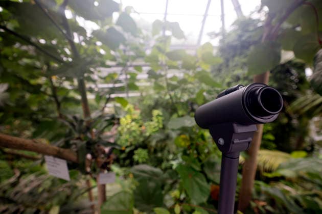 Impression von der Eröffnung der neuen Schaugewächshäuser in der Kölner Flora. Das Stahl-Glasgebäude zeigt eine große Auswahl exotischer Pflanzen und ist fortan wieder der Öffentlichkeit zugänglich. Köln, 12.06.2026 NRW Deutschland *** Impression of the opening of the new show greenhouses at Cologne Flora The steel and glass building displays a large selection of exotic plants and is now open to the public again Cologne, 12 06 2026 NRW Germany Copyright: xChristophxHardtx