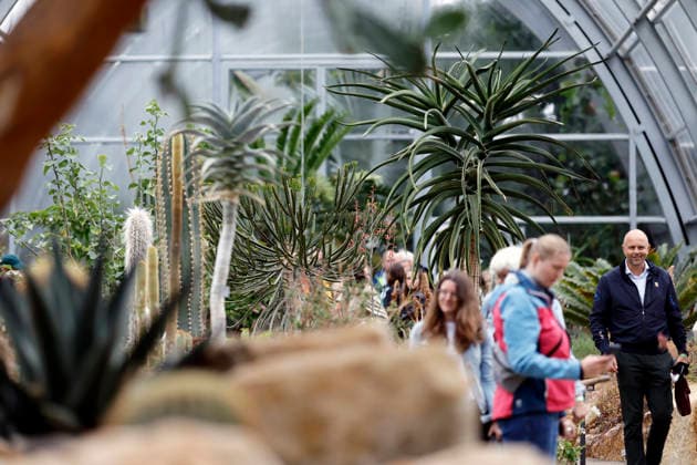 Impression von der Eröffnung der neuen Schaugewächshäuser in der Kölner Flora. Das Stahl-Glasgebäude zeigt eine große Auswahl exotischer Pflanzen und ist fortan wieder der Öffentlichkeit zugänglich. Köln, 12.06.2026 NRW Deutschland *** Impression of the opening of the new show greenhouses at Cologne Flora The steel and glass building displays a large selection of exotic plants and is now open to the public again Cologne, 12 06 2026 NRW Germany Copyright: xChristophxHardtx