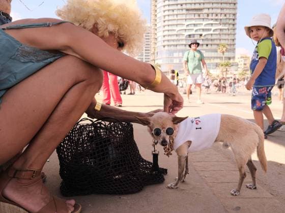 Tel Aviv pride parade 2026 TEL AVIV, ISRAEL JUNE 12, 2026: A crowd of around 100,000 people filled the streets of Tel Aviv for the 2026 Pride Parade, turning the Mediterranean coastline into a large-scale celebration of music, dance, and public demonstrations calling for equal rights. The annual event drew participants and spectators from across the country and abroad. photo by : Aldema Milstein (Photo by Aldema Milstein JNA Press via Nexpher Images) Tel Aviv