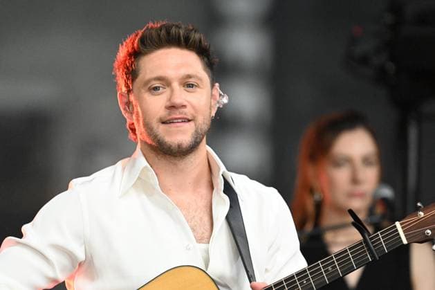 RECORD DATE NOT STATED According to Wikipedia, Niall James Horan is an Irish singer, songwriter, musician, and multi-instrumentalist. He rose to prominence as a member of the boy band One Direction, formed in 2010. Afterwards, Horan, signed a recording deal as a solo artist with Capitol Records. He has since released four albums: Flicker (2017), Heartbreak Weather (2020), The Show (2023), and Dinner Party (2026). Flicker debuted at number one in Ireland and the US, and reached the top three in Australia and the UK. The album s first two singles, This Town and Slow Hands , reached the top 20 in several countries. Heartbreak Weather was released in March 2020, and debuted at number one in the UK, Ireland, Mexico, and the US. 3 Horan released his third studio a  Copyright: xVictorxM.xMatosx