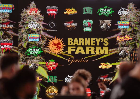 13.06.2026, xlakx, Entertainment, Mary Jane Berlin 2026 v.l. Messestand von Barney™s Farm Genetics mit großformatiger Präsentationswand und verschiedenen Cannabis-Sorten bzw. Produktmarken. Die Veranstaltung präsentiert Aussteller aus den Bereichen Cannabis, Medizin, Lifestyle und Hanfprodukte. Berlin *** 13 06 2026, xlakx, Entertainment, Mary Jane Berlin 2026 v l Exhibition stand of Barney™s Farm Genetics with large-format presentation wall and various cannabis varieties and product brands The event presents exhibitors from the cannabis, medicine, lifestyle and hemp products sectors Berlin Daniel Lakomski