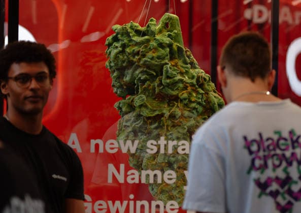13.06.2026, xlakx, Entertainment, Mary Jane Berlin 2026 v.l.Besucher betrachten ein großformatiges Kunstobjekt in Form einer Cannabisblüte. Die Veranstaltung präsentiert Aussteller aus den Bereichen Cannabis, Medizin, Lifestyle und Hanfprodukte. Berlin *** 13 06 2026, xlakx, Entertainment, Mary Jane Berlin 2026 v l Visitors view a large-format art object in the form of a cannabis flower The event presents exhibitors from the cannabis, medicine, lifestyle and hemp product sectors Berlin Daniel Lakomski