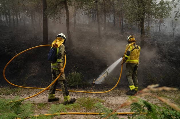 The fire in Padrón A Coruna has already devastated about 200 hectares Two forest firefighters try to extinguish a fire, June 13, 2026, in Padrón, A Coruna, Galicia Spain To try to extinguish the flames of the fire that started during a day of high temperatures in Galicia has mobilized a large device, which includes numerous aerial means both autonomous and central government 13 JUNE 2026 FIRE FIRE LEVEL 2 EXTINCTION SMOKE FLAMES HELICOPTER HELICOPTER FOREST FIREFIGHTERS Á in Padron, A Coruna Galicia in Padron, A Coruna Galicia Galicia Spain  Copyright: xÃlvaroxBallesterosx 7594672