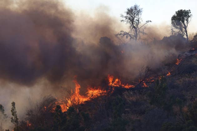 Firefighters response to wildfires in two regions in southern Italy SICILY, ITALY - JUNE 13: Large fire has broken out in Montagna Grande, a town in Salemi, near Trapani in Sicily, Italy on June 13, 2026. Two Canadair aircraft and three helicopters take part in an extinguishing work. Alberto Lo Bianco Anadolu Sicily Italy. Editorial use only. Please get in touch for any other usage.  Copyright: x2026xAnadoluxAlbertoxLoxBiancox