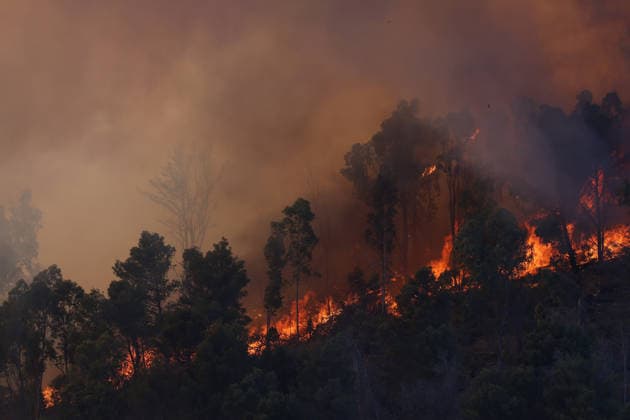 Firefighters response to wildfires in two regions in southern Italy SICILY, ITALY - JUNE 13: Large fire has broken out in Montagna Grande, a town in Salemi, near Trapani in Sicily, Italy on June 13, 2026. Two Canadair aircraft and three helicopters take part in an extinguishing work. Alberto Lo Bianco Anadolu Sicily Italy. Editorial use only. Please get in touch for any other usage.  Copyright: x2026xAnadoluxAlbertoxLoxBiancox