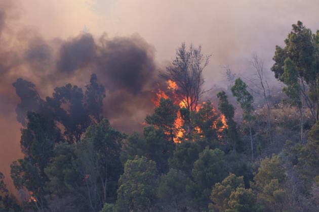 Firefighters response to wildfires in two regions in southern Italy SICILY, ITALY - JUNE 13: Large fire has broken out in Montagna Grande, a town in Salemi, near Trapani in Sicily, Italy on June 13, 2026. Two Canadair aircraft and three helicopters take part in an extinguishing work. Alberto Lo Bianco Anadolu Sicily Italy. Editorial use only. Please get in touch for any other usage.  Copyright: x2026xAnadoluxAlbertoxLoxBiancox