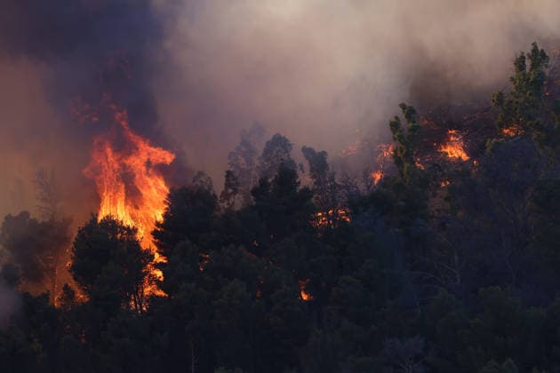 Firefighters response to wildfires in two regions in southern Italy SICILY, ITALY - JUNE 13: Large fire has broken out in Montagna Grande, a town in Salemi, near Trapani in Sicily, Italy on June 13, 2026. Two Canadair aircraft and three helicopters take part in an extinguishing work. Alberto Lo Bianco Anadolu Sicily Italy. Editorial use only. Please get in touch for any other usage.  Copyright: x2026xAnadoluxAlbertoxLoxBiancox