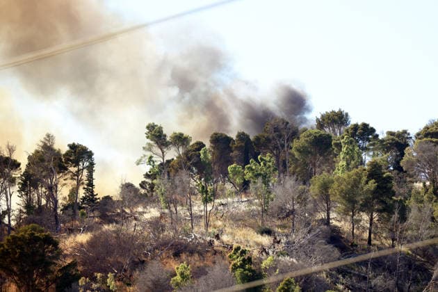 Firefighters response to wildfires in two regions in southern Italy SICILY, ITALY - JUNE 13: Large fire has broken out in Montagna Grande, a town in Salemi, near Trapani in Sicily, Italy on June 13, 2026. Two Canadair aircraft and three helicopters take part in an extinguishing work. Alberto Lo Bianco Anadolu Sicily Italy. Editorial use only. Please get in touch for any other usage.  Copyright: x2026xAnadoluxAlbertoxLoxBiancox