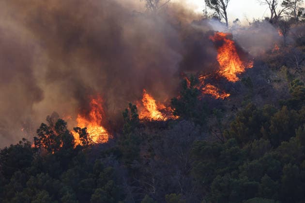 Firefighters response to wildfires in two regions in southern Italy SICILY, ITALY - JUNE 13: Large fire has broken out in Montagna Grande, a town in Salemi, near Trapani in Sicily, Italy on June 13, 2026. Two Canadair aircraft and three helicopters take part in an extinguishing work. Alberto Lo Bianco Anadolu Sicily Italy. Editorial use only. Please get in touch for any other usage.  Copyright: x2026xAnadoluxAlbertoxLoxBiancox