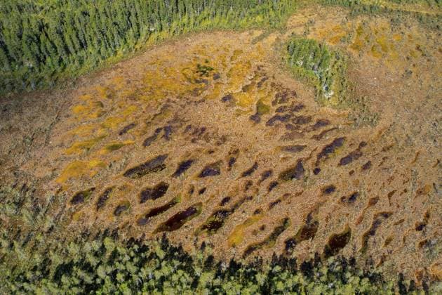 Creative Highlights World Luftaufnahme über offenes Moorland, Moore, Teiche und Nadelwälder in Dalarna im Frühling, Schweden, Skandinavien Aerial view over open moorland, bogs, pools and coniferous forest in Dalarna in spring, Sweden, Scandinavia Copyright: imageBROKER alimdix xArterra ibltsm18041936.jpg