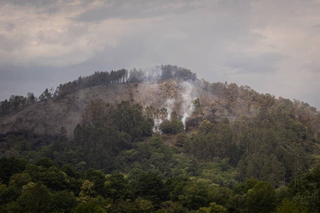 The fire in Grado forces to cut a stretch of the A 63 to facilitate the extinguishing work Smoke columns during the extinguishing work of a forest fire, on June 14, 2026, in Grado, Asturias Spain Firefighters from the Emergency Service of the Principality of Asturias SEPA have been working all night long in the extinguishing of the forest fire declared in the areas of Penaflor and Anzo, in the council of Grado 14 JUNE 2026 FOREST FIRE Grado, Asturias Grado, Asturias Spain  Copyright: xImanolxRimadax 7596084