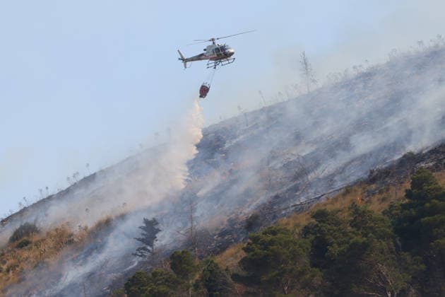 Wildfire continues to burn in Sicily s Trapani region as aerial response intensifies TRAPANI, ITALY - JUNE 14: Firefighting aircraft and helicopters operate to extinguish a wildfire that broke out in a maquis area near the Grande Montagna location in Trapani, on the west of Italy s Sicily Island, on June 14, 2026. The wildfire, which started yesterday afternoon, continues to spread despite ongoing aerial and ground efforts. Alberto Lo Bianco Anadolu Trapani Italy. Editorial use only. Please get in touch for any other usage.  Copyright: x2026xAnadoluxAlbertoxLoxBiancox