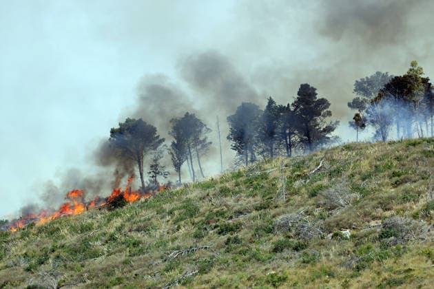 Wildfire continues to burn in Sicily s Trapani region as aerial response intensifies TRAPANI, ITALY - JUNE 14: Firefighting aircraft and helicopters operate to extinguish a wildfire that broke out in a maquis area near the Grande Montagna location in Trapani, on the west of Italy s Sicily Island, on June 14, 2026. The wildfire, which started yesterday afternoon, continues to spread despite ongoing aerial and ground efforts. Alberto Lo Bianco Anadolu Trapani Italy. Editorial use only. Please get in touch for any other usage.  Copyright: x2026xAnadoluxAlbertoxLoxBiancox