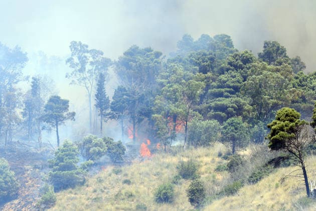 Wildfire continues to burn in Sicily s Trapani region as aerial response intensifies TRAPANI, ITALY - JUNE 14: Firefighting aircraft and helicopters operate to extinguish a wildfire that broke out in a maquis area near the Grande Montagna location in Trapani, on the west of Italy s Sicily Island, on June 14, 2026. The wildfire, which started yesterday afternoon, continues to spread despite ongoing aerial and ground efforts. Alberto Lo Bianco Anadolu Trapani Italy. Editorial use only. Please get in touch for any other usage.  Copyright: x2026xAnadoluxAlbertoxLoxBiancox