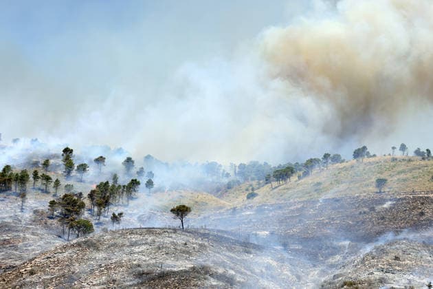 Wildfire continues to burn in Sicily s Trapani region as aerial response intensifies TRAPANI, ITALY - JUNE 14: Firefighting aircraft and helicopters operate to extinguish a wildfire that broke out in a maquis area near the Grande Montagna location in Trapani, on the west of Italy s Sicily Island, on June 14, 2026. The wildfire, which started yesterday afternoon, continues to spread despite ongoing aerial and ground efforts. Alberto Lo Bianco Anadolu Trapani Italy. Editorial use only. Please get in touch for any other usage.  Copyright: x2026xAnadoluxAlbertoxLoxBiancox