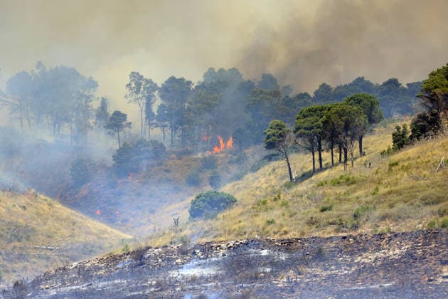 Wildfire continues to burn in Sicily s Trapani region as aerial response intensifies TRAPANI, ITALY - JUNE 14: Firefighting aircraft and helicopters operate to extinguish a wildfire that broke out in a maquis area near the Grande Montagna location in Trapani, on the west of Italy s Sicily Island, on June 14, 2026. The wildfire, which started yesterday afternoon, continues to spread despite ongoing aerial and ground efforts. Alberto Lo Bianco Anadolu Trapani Italy. Editorial use only. Please get in touch for any other usage.  Copyright: x2026xAnadoluxAlbertoxLoxBiancox