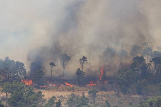 Wildfire continues to burn in Sicily s Trapani region as aerial response intensifies TRAPANI, ITALY - JUNE 14: Firefighting aircraft and helicopters operate to extinguish a wildfire that broke out in a maquis area near the Grande Montagna location in Trapani, on the west of Italy s Sicily Island, on June 14, 2026. The wildfire, which started yesterday afternoon, continues to spread despite ongoing aerial and ground efforts. Alberto Lo Bianco Anadolu Trapani Italy. Editorial use only. Please get in touch for any other usage.  Copyright: x2026xAnadoluxAlbertoxLoxBiancox