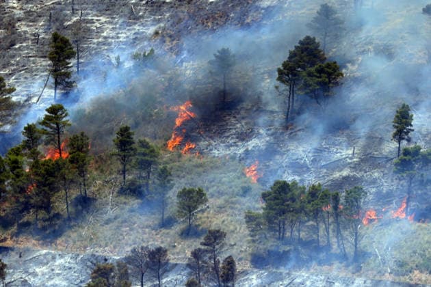 Wildfire continues to burn in Sicily s Trapani region as aerial response intensifies TRAPANI, ITALY - JUNE 14: Firefighting aircraft and helicopters operate to extinguish a wildfire that broke out in a maquis area near the Grande Montagna location in Trapani, on the west of Italy s Sicily Island, on June 14, 2026. The wildfire, which started yesterday afternoon, continues to spread despite ongoing aerial and ground efforts. Alberto Lo Bianco Anadolu Trapani Italy. Editorial use only. Please get in touch for any other usage.  Copyright: x2026xAnadoluxAlbertoxLoxBiancox