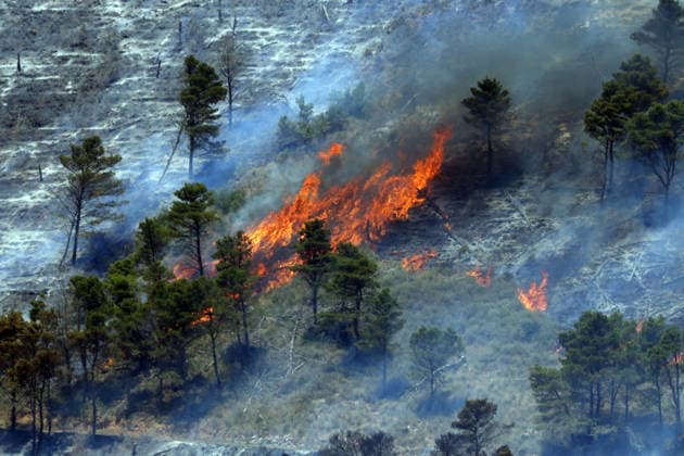 Wildfire continues to burn in Sicily s Trapani region as aerial response intensifies TRAPANI, ITALY - JUNE 14: Firefighting aircraft and helicopters operate to extinguish a wildfire that broke out in a maquis area near the Grande Montagna location in Trapani, on the west of Italy s Sicily Island, on June 14, 2026. The wildfire, which started yesterday afternoon, continues to spread despite ongoing aerial and ground efforts. Alberto Lo Bianco Anadolu Trapani Italy. Editorial use only. Please get in touch for any other usage.  Copyright: x2026xAnadoluxAlbertoxLoxBiancox