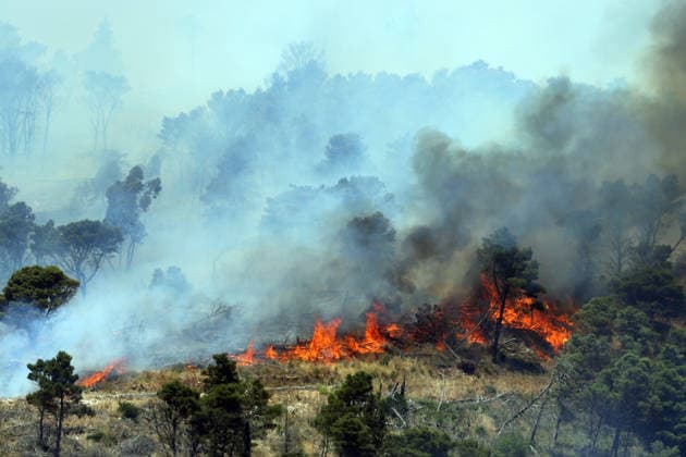 Wildfire continues to burn in Sicily s Trapani region as aerial response intensifies TRAPANI, ITALY - JUNE 14: Firefighting aircraft and helicopters operate to extinguish a wildfire that broke out in a maquis area near the Grande Montagna location in Trapani, on the west of Italy s Sicily Island, on June 14, 2026. The wildfire, which started yesterday afternoon, continues to spread despite ongoing aerial and ground efforts. Alberto Lo Bianco Anadolu Trapani Italy. Editorial use only. Please get in touch for any other usage.  Copyright: x2026xAnadoluxAlbertoxLoxBiancox