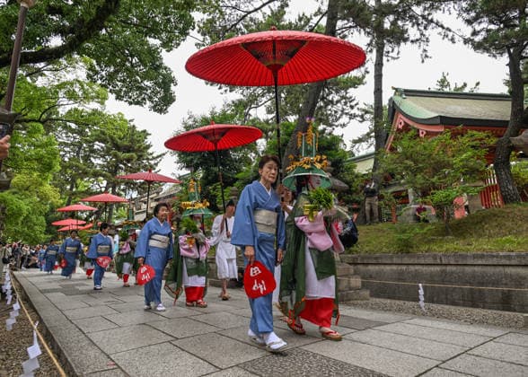 Osaka Keeps Centuries Old Otaue Rice Festival alive OSAKA, JAPAN - JUNE 14: Ueme rice-planting maidens carry bundles of blessed green seedlings down a stone pathway under large red umbrellas (nagae no kasa) during the historic Otaue Rice Planting Festival (Otaue Shinji) at Sumiyoshi Taisha Shrine in southern Osaka, Japan, on June 14, 2026. The ancient agricultural ritual, officially designated as an Important Intangible Folk Cultural Property of Japan, features women dressed in blue kimonos escorting the selected maidens as they transport the consecrated rice plants toward the sacred paddy field to invoke a bountiful autumn harvest. Artur Widak Anadolu Agency Anadolu Osaka Japan. Editorial use only. Please get in touch for any other usa  Copyright: x2026xAnadoluxArturxWidak AnadoluxAgencyx