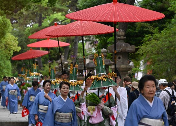 Osaka Keeps Centuries Old Otaue Rice Festival alive OSAKA, JAPAN - JUNE 14: Ueme rice-planting maidens carry bundles of blessed green seedlings down a stone pathway under large red umbrellas (nagae no kasa) during the historic Otaue Rice Planting Festival (Otaue Shinji) at Sumiyoshi Taisha Shrine in southern Osaka, Japan, on June 14, 2026. The ancient agricultural ritual, officially designated as an Important Intangible Folk Cultural Property of Japan, features women dressed in blue kimonos escorting the selected maidens as they transport the consecrated rice plants toward the sacred paddy field to invoke a bountiful autumn harvest. Artur Widak Anadolu Agency Anadolu Osaka Japan. Editorial use only. Please get in touch for any other usa  Copyright: x2026xAnadoluxArturxWidak AnadoluxAgencyx