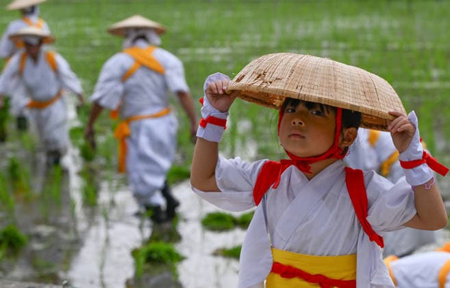 Osaka keeps centuries old Otaue Rice Festival alive OSAKA, JAPAN - JUNE 14: A young Taue-odori (rice-planting dance) performer adjusts her woven straw hat (sugegasa) while stepping away from the sacred paddy field at the conclusion of the historic Otaue Rice Planting Festival (Otaue Shinji) at Sumiyoshi Taisha Shrine in southern Osaka, Japan, on June 14, 2026. The ancient agricultural ritual, officially designated as an Important Intangible Folk Cultural Property of Japan, heavily relies on local youth who wear traditional white robes, red accents, and yellow sashes to perform sacred ritual dances that celebrate the completion of the planting and invoke a bountiful autumn harvest. Artur Widak Anadolu Osaka Japan. Editorial use only. Ple  Copyright: x2026xAnadoluxArturxWidakx