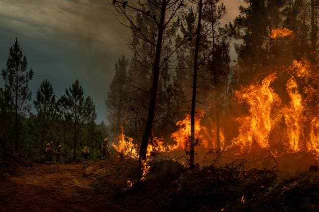 Wildfire prompts Level 2 emergency in Galicia BOBORAS, SPAIN JUNE 14, 2026: An active wildfire burns near Boboras in the northwestern Spanish region of Galicia on June 14, 2026. The regional government of Galicia activated a Level 2 emergency as firefighters continued efforts to contain the blaze amid concerns over its spread. Photo by Brais Lorenzo JNA Press (Photo by Brais Lorenzo JNA Press via Nexpher Images) Boboras