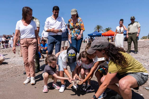 Release of several loggerhead turtles in Mojacar Almeria The acting Minister of Sustainability and Environment, Catalina Garcia 1i , attends the release of several loggerhead turtles on the Rumina beach in the Almeria town of Mojacar June 15, 2026 in Mojacar, Almeria Andalusia, Spain The 27 loggerhead sea turtles Caretta caretta that have been released today come from the nesting of a female on the beach of Piedra Villazar in Mojacar Almeria in June 2025 The 27 specimens are part of the original incubation chamber of this nesting, in which 99 eggs were found deposited, as indicated by the Junta in a note The turtles are over 1.2 kilos and are in good physical and sanitary condition for their release 15 JUNE 2026 Marian Leó Mojacar, Almeria  Copyright: xMarianxLeonx 7598890