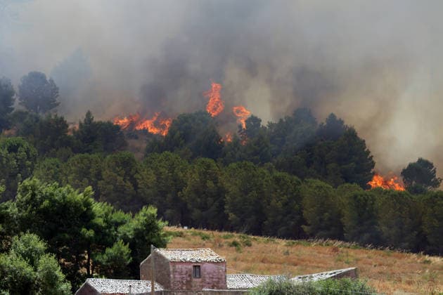 IPA85724801 - MONTAGNA GRANDE IN SALEMI, NEAR TRAPANI: THE FIRE HAS BEEN RAGING FOR THREE DAYS, WITH 1,200 HECTARES OF FOREST GONE UP IN SMOKE. Pictured: the Montagna Grande forest destroyed by the flames, with more than 1,200 hectares gone up in smoke.  Copyright: xAlbertoxLoxBiancox xAlbertoxLoxBianco Fotogrammax 85724801