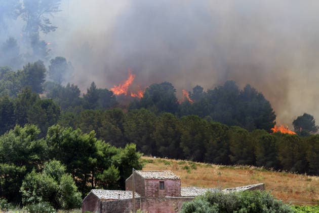 IPA85724802 - MONTAGNA GRANDE IN SALEMI, NEAR TRAPANI, HAS BEEN BURNING FOR THREE DAYS; 1,200 HECTARES OF FOREST HAVE GONE UP IN SMOKE. Pictured: the Montagna Grande forest destroyed by flames; more than 1,200 hectares have gone up in smoke.  Copyright: xAlbertoxLoxBiancox xAlbertoxLoxBianco Fotogrammax 85724802