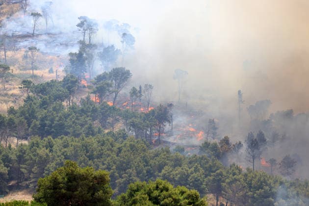 IPA85724836 - MONTAGNA GRANDE IN SALEMI, NEAR TRAPANI, HAS BEEN BURNING FOR THREE DAYS; 1,200 HECTARES OF FOREST HAVE GONE UP IN SMOKE. The photo shows the Montagna Grande forest destroyed by the flames; more than 1,200 hectares have gone up in smoke.  Copyright: xAlbertoxLoxBiancox xAlbertoxLoxBianco Fotogrammax 85724836