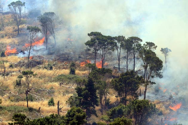 IPA85724791 - MONTAGNA GRANDE IN SALEMI, NEAR TRAPANI, HAS BEEN BURNING FOR THREE DAYS; 1,200 HECTARES OF FOREST HAVE GONE UP IN SMOKE. The photo shows the Montagna Grande forest destroyed by flames; more than 1,200 hectares have gone up in smoke.  Copyright: xAlbertoxLoxBiancox xAlbertoxLoxBianco Fotogrammax 85724791