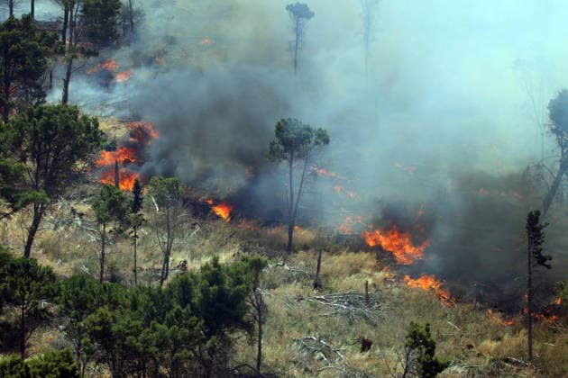 IPA85724793 - MONTAGNA GRANDE IN SALEMI, NEAR TRAPANI, HAS BEEN BURNING FOR THREE DAYS; 1,200 HECTARES OF FOREST HAVE GONE UP IN SMOKE. The photo shows the Montagna Grande forest destroyed by the flames; more than 1,200 hectares have gone up in smoke.  Copyright: xAlbertoxLoxBiancox xAlbertoxLoxBianco Fotogrammax 85724793
