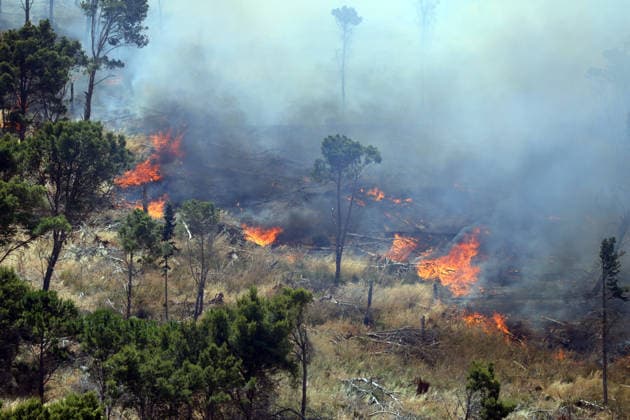 IPA85724795 - MONTAGNA GRANDE IN SALEMI, NEAR TRAPANI, HAS BEEN BURNING FOR THREE DAYS; 1,200 HECTARES OF FOREST HAVE GONE UP IN SMOKE. The photo shows the Montagna Grande forest destroyed by the flames; more than 1,200 hectares have gone up in smoke.  Copyright: xAlbertoxLoxBiancox xAlbertoxLoxBianco Fotogrammax 85724795