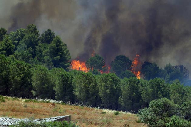 IPA85724799 - MONTAGNA GRANDE IN SALEMI, NEAR TRAPANI: THE FIRE HAS BEEN RAGING FOR THREE DAYS, WITH 1,200 HECTARES OF FOREST GONE UP IN SMOKE. The photo shows the Montagna Grande forest destroyed by the flames, with more than 1,200 hectares gone up in smoke.  Copyright: xAlbertoxLoxBiancox xAlbertoxLoxBianco Fotogrammax 85724799