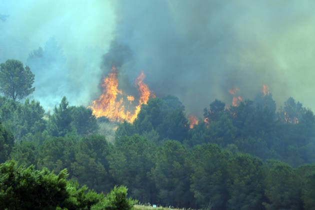 IPA85724806 - MONTAGNA GRANDE IN SALEMI, NEAR TRAPANI: THE FIRE HAS BEEN RAGING FOR THREE DAYS, WITH 1,200 HECTARES OF FOREST GONE UP IN SMOKE. The photo shows the Montagna Grande forest destroyed by the flames, with more than 1,200 hectares gone up in smoke.  Copyright: xAlbertoxLoxBiancox xAlbertoxLoxBianco Fotogrammax 85724806