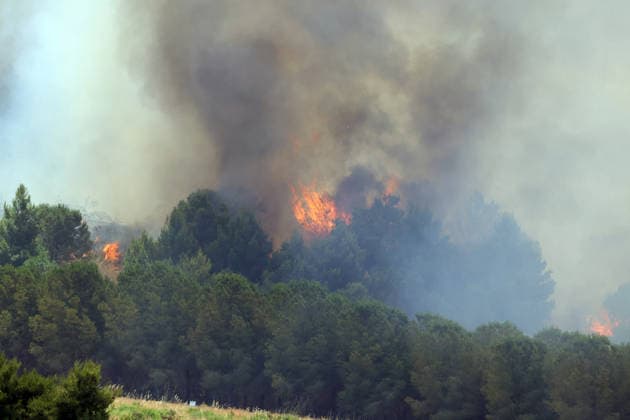 IPA85724816 - MONTAGNA GRANDE IN SALEMI, NEAR TRAPANI, HAS BEEN BURNING FOR THREE DAYS; 1,200 HECTARES OF FOREST HAVE GONE UP IN SMOKE The photo shows the Montagna Grande forest destroyed by the flames; more than 1,200 hectares have gone up in smoke  Copyright: xAlbertoxLoxBiancox xAlbertoxLoxBianco Fotogrammax 85724816